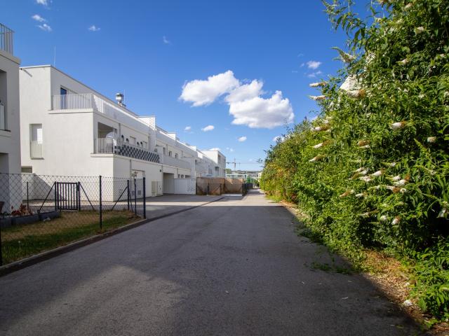 Ab sofort 2 Zimmer Neubauhit mit 2 Freiflächen grüne Oase vor der Haustür