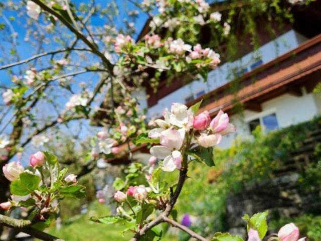 Ab sofort verfügbar! Zweifamilienhaus mit Garten und unverbaubarem Blick auf das Inntal PROVISIONSFREI
