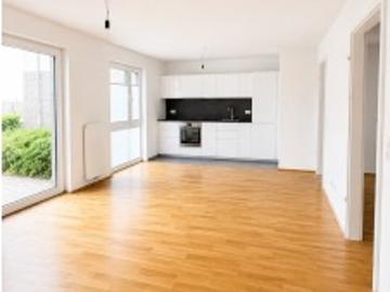 ‼️Ab sofort verfügbar: 2,5 Zimmer Wohnung in der Wüste, Osnabrück – in Uni Nähe‼️