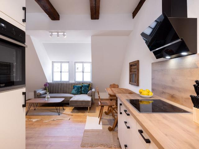 Above the rooftops: 2 floors up to 2 people, contract with extension option, 2024 fully renovated, fully furnished, super central, old town, Erlangen Amsterdam Apartments for Rent