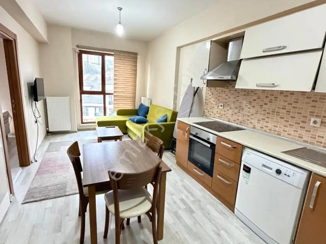 Abonelikler Açık eşyalı kiralık 1+1 Daire üniversiteye Yakın
