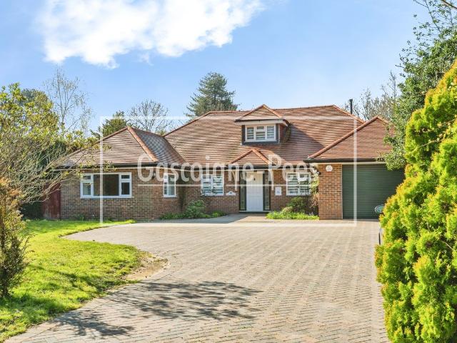 Abbotswood, Guildford GU1, 4 bed property to rent, £5,500 pcm | PrimeLocation