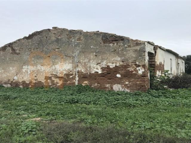 Abegoaria, Ferreira do Alentejo