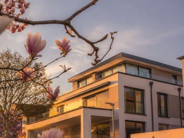 Abendsonne & Design mit Gartengefühl exklusive 2 Zimmer Wohnung mit Westterrasse u. Grün