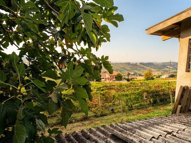 Abitazione panoramica straordinaria con 2.200 mq di terreno. 280m² San Marzano Oliveto