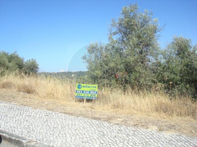 Abrantes Abrantes 105369096