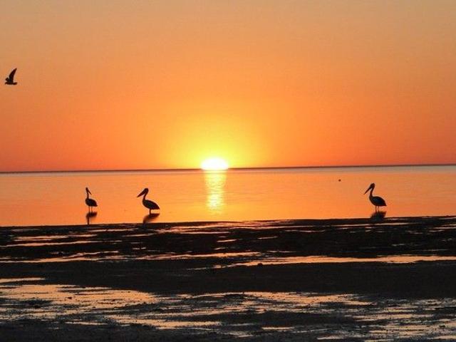 Rustic Beach Front Escape Chinaman Wells 1st time offered
