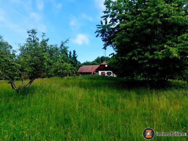 Absolute Einzellage mit einzigartigem Fernblick, 1,6 ha