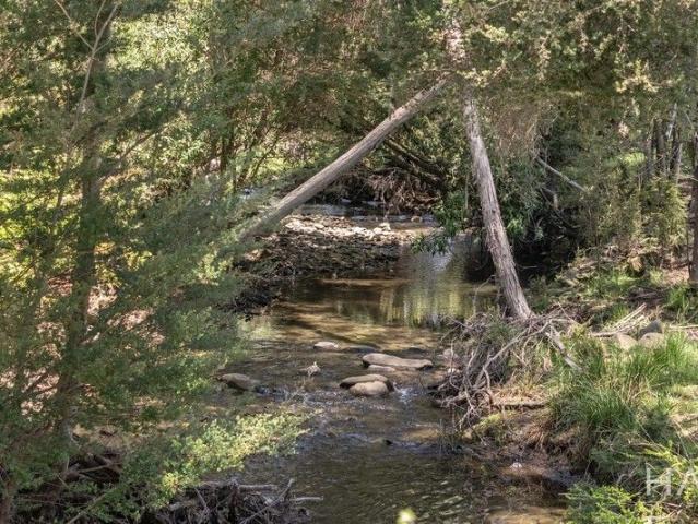 Absolute Peace! Where Nature, Space, And Opportunity Meet