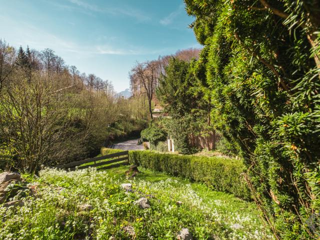 Absolute Premiumlage: Im Villenviertel Nähe Kreuzbergpromenade