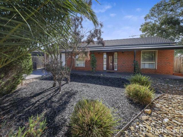 ABSOLUTELY GORGEOUS PREMIUM COTTAGE MASTERPIECE ON 509m2 COURT BLOCK