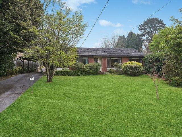 Abundance of natural light and leafy garden vistas