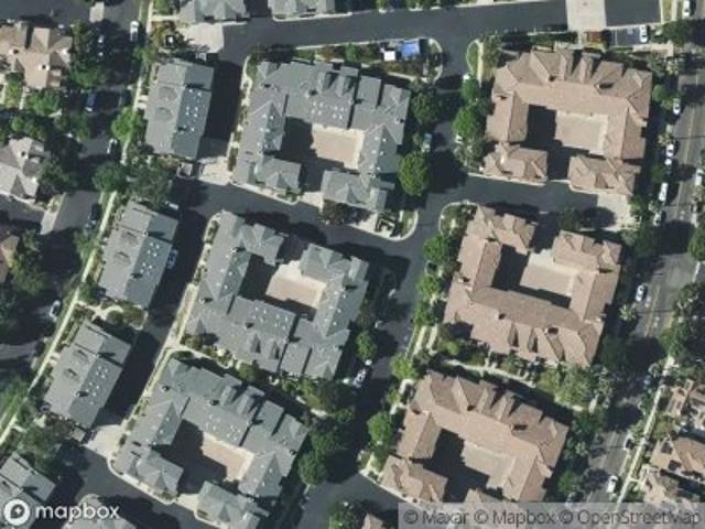 Agave Ct