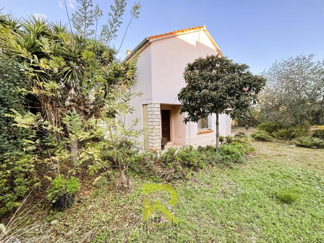 Agde Cave Cooperative 149m² Agde Cap d'Agde