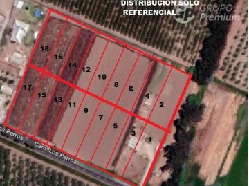 Agrícola en Venta en CAMINO LOS PERROS EL MANZANO