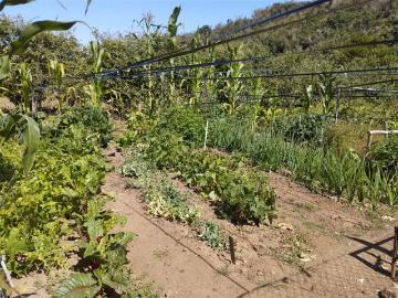 Agrícola en Venta en camino vecinal
