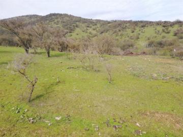 Agrícola en Venta en El manzano