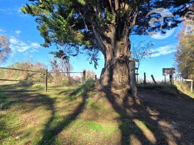 Agrícola en Venta en estancia san bernardo