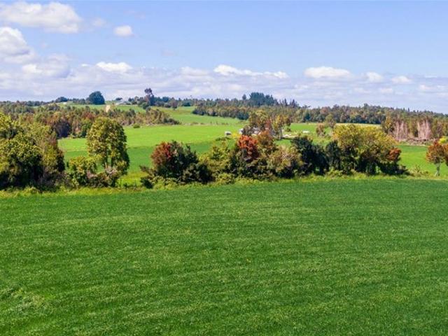Agrícola en Venta en fresia