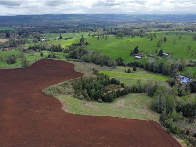 Agrícola en Venta en Fresia