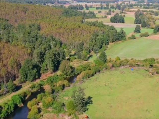 Agrícola en Venta en fresia
