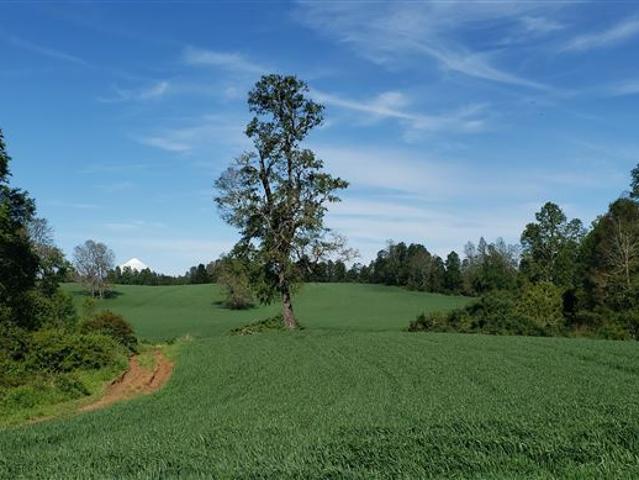 Agrícola en Venta en Frutillar