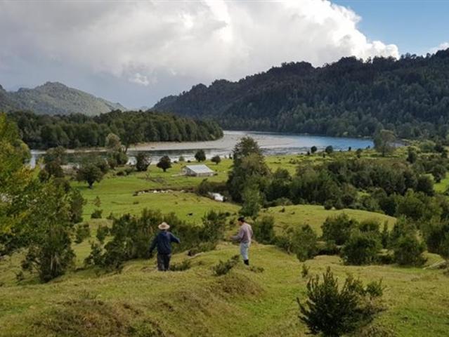 Agrícola en Venta en La Junta