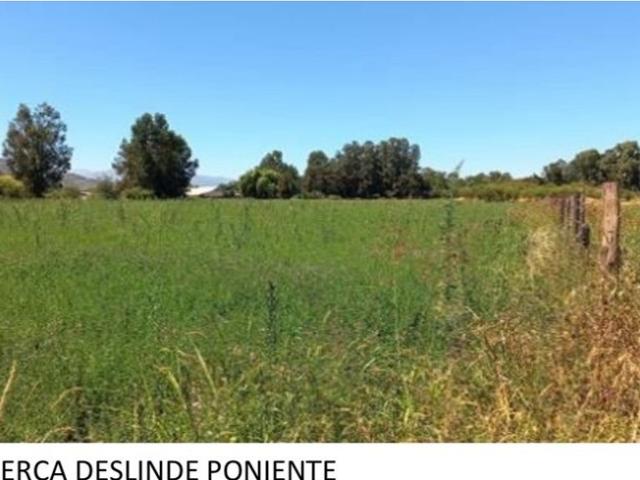 Agrícola en Venta en Marinana