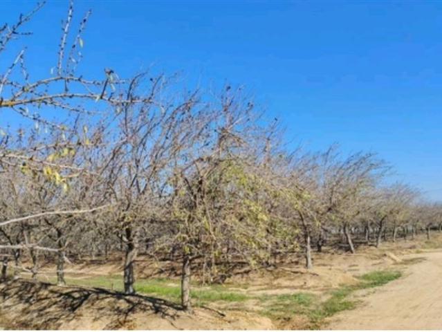 Agrícola en Venta en Nilahue /Lolol/ Colchagua