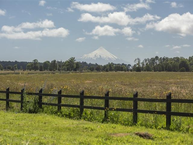Agrícola en Venta en Nueva Braunau