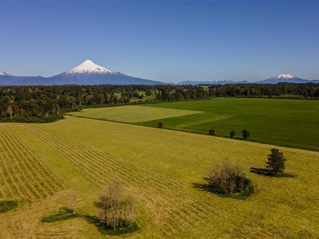 Agrícola en Venta en Paullín
