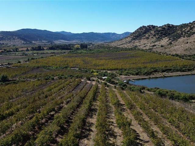 Agrícola en Venta en Pencahue