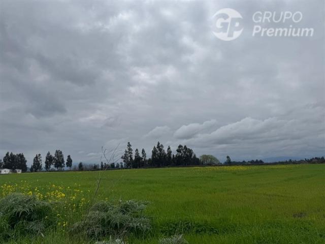 Agrícola en Venta en Peralillo