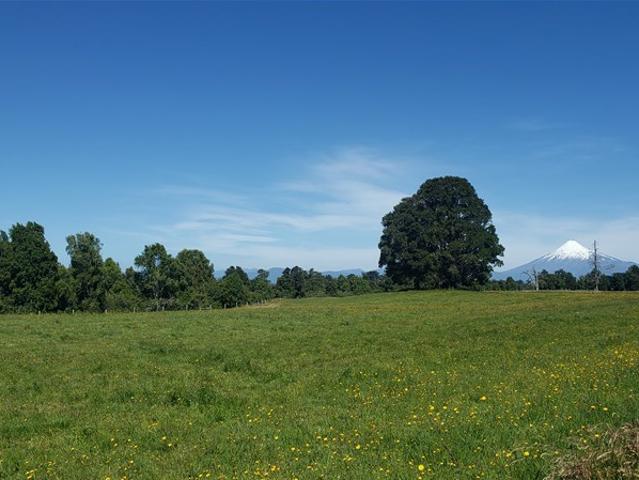 Agrícola en Venta en Puerto Octay