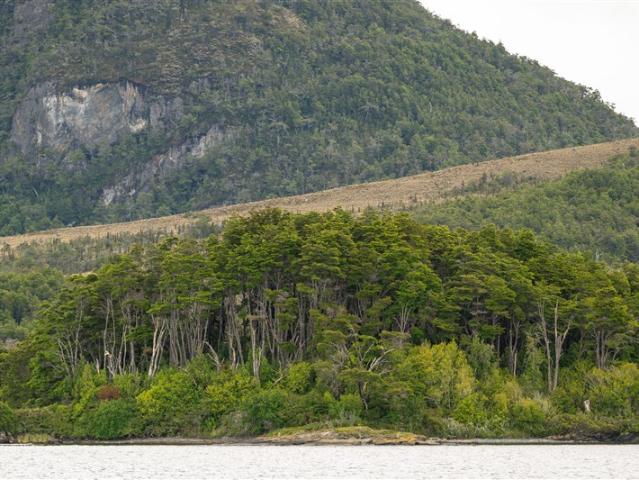 Agrícola en Venta en Puerto Natales