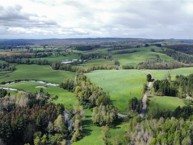 Agrícola en Venta en Purranque