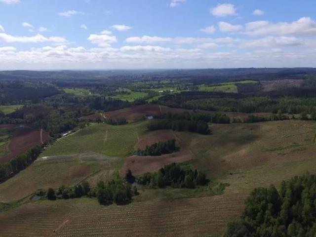 Agrícola en Venta en purranque