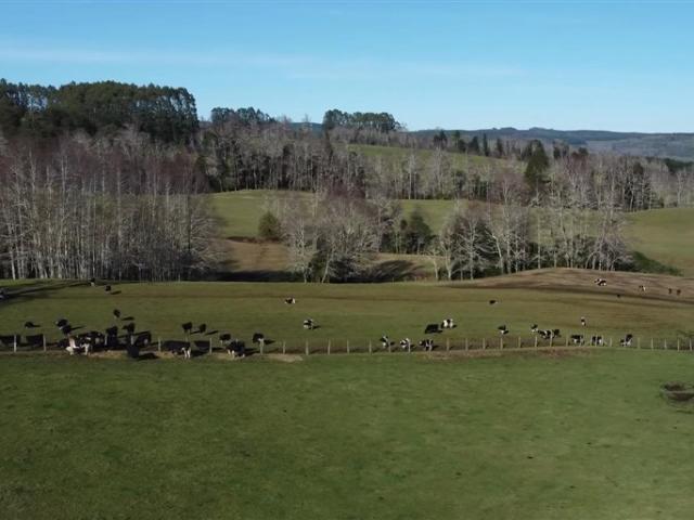 Agrícola en Venta en purranque