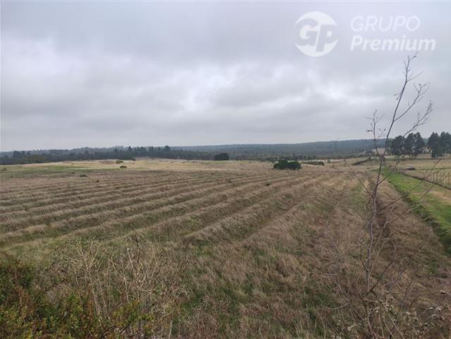 Agrícola en Venta en Quillaicillo