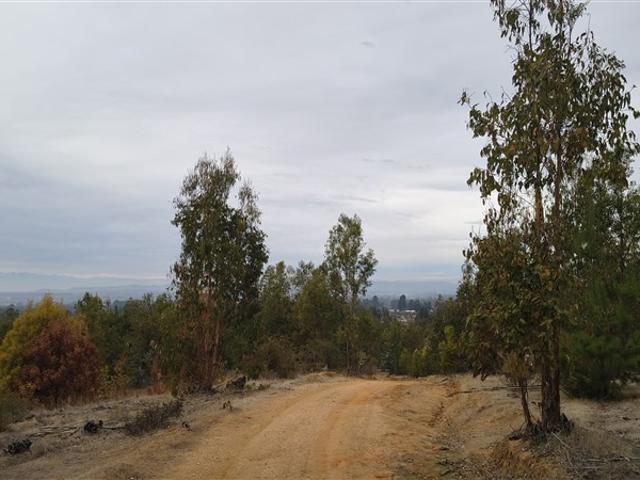 Agrícola en Venta en Rinconada de Alcones
