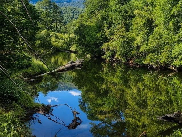 Agrícola en Venta en Rio Quetro