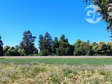 Agrícola en Venta en Ruta 671 San Ignacio Ñuble
