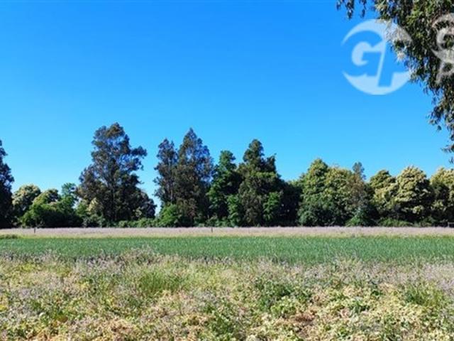 Agrícola en Venta en Ruta 671 San Ignacio Ñuble