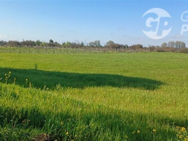 Agrícola en Venta en SAN CARLOS CARRETERA PANAMERICANA SUR