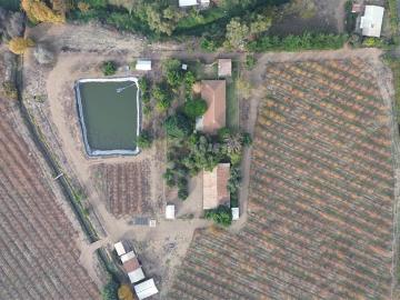Agrícola en Venta en San Francisco de Mostazal