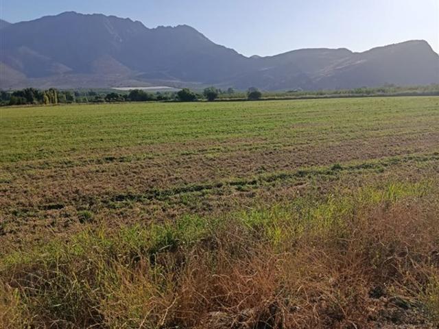 Agrícola en Venta en San Vicente de Tagua Tagua