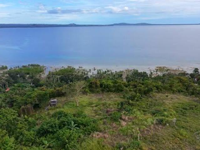 Agricultural Lot for sale in Maribojoc