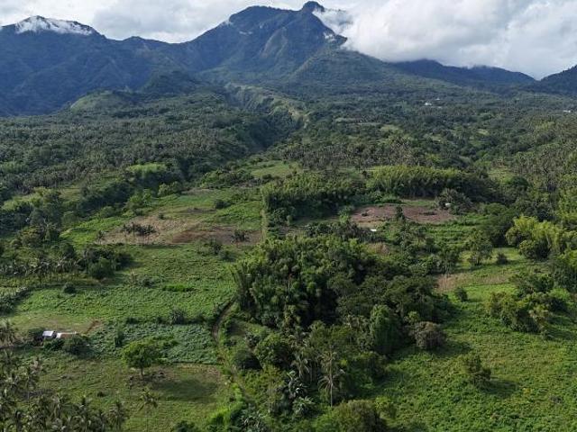 Agricultural Lot for sale in Dauin