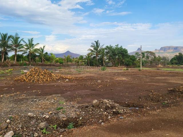 Agricultural Land in Talwade Trimbak for resale Nashik. The reference number is 20336663