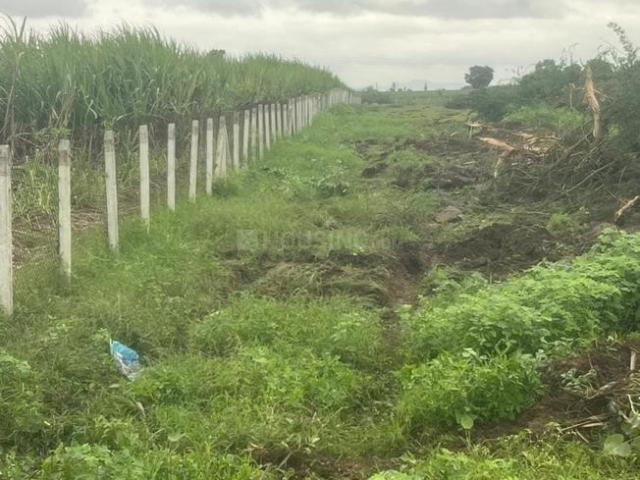 Agricultural Land in Talegaon Dhamdhere for resale Pune. The reference number is 15231274